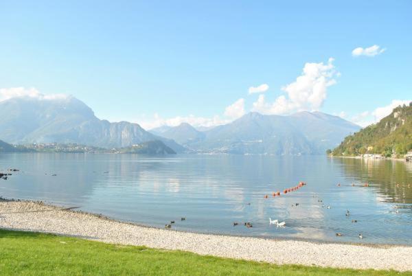 The Garden On The Lake Lierna Exterior foto